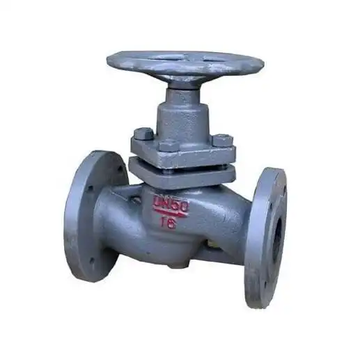 What is a plunger valve?