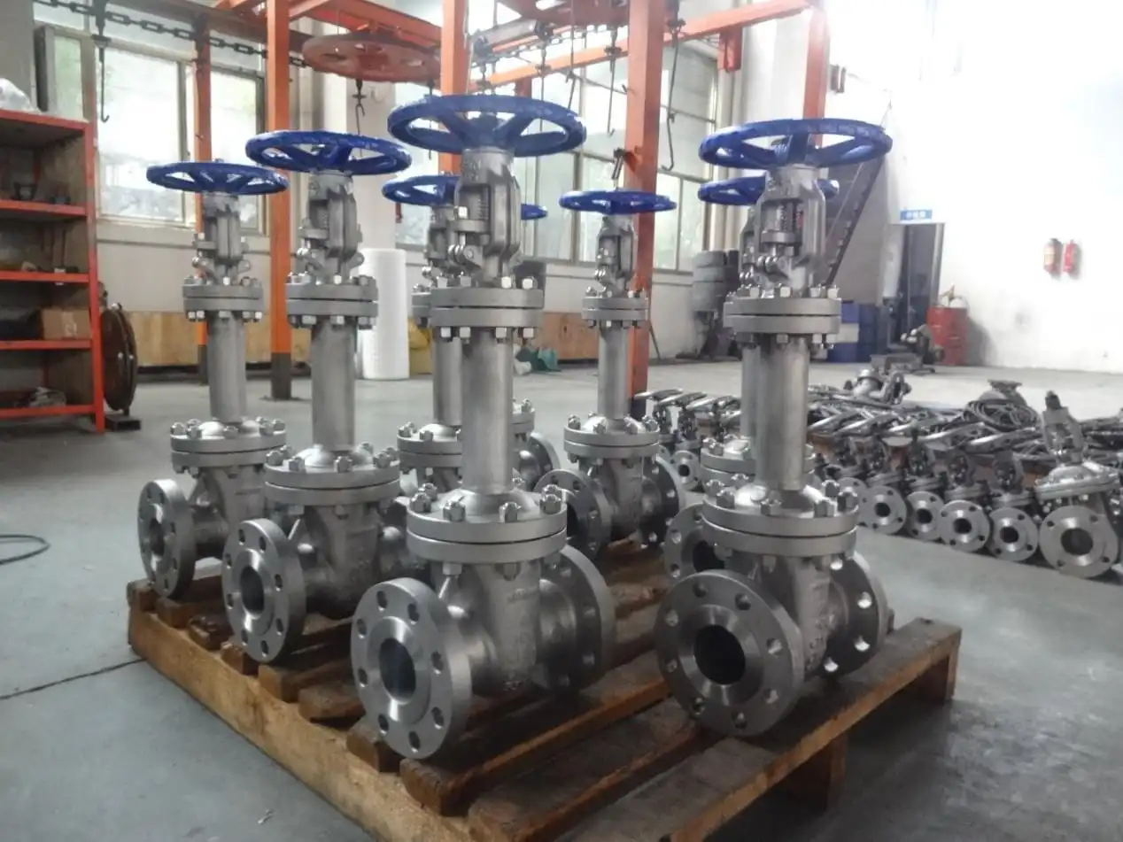 Bellow Seal Valves - a solution to prevent leakage