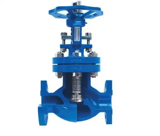 A Brief Introduction of Bellow Seal Valve