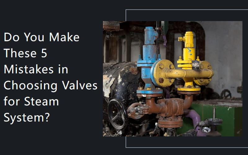 Do You Make These 5 Mistakes in Choosing Valves for Steam System?