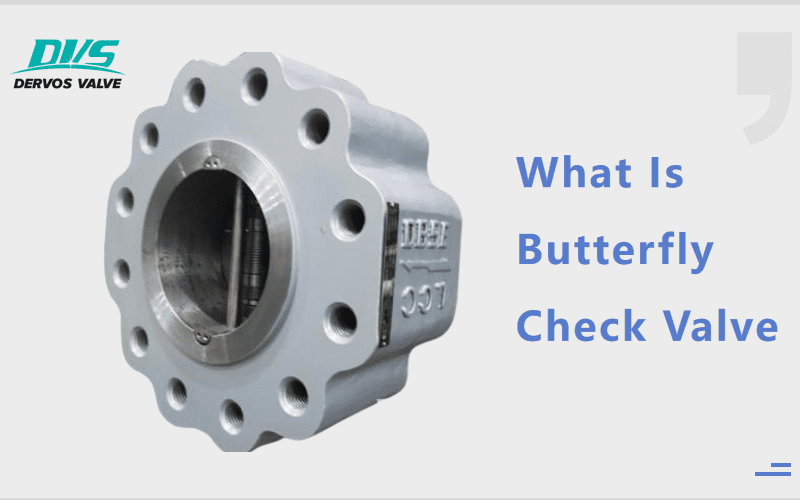 What Are Butterfly Check Valves