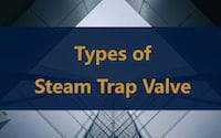 Types of Steam Trap Valves