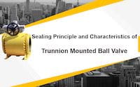 Sealing Principles and Characteristics of Trunnion Mounted Ball Valves