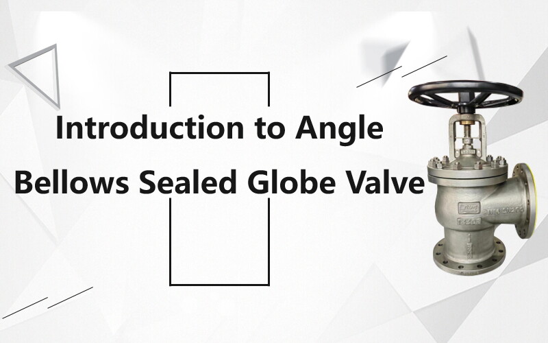 Introduction to Angle Bellows Sealed Globe Valve