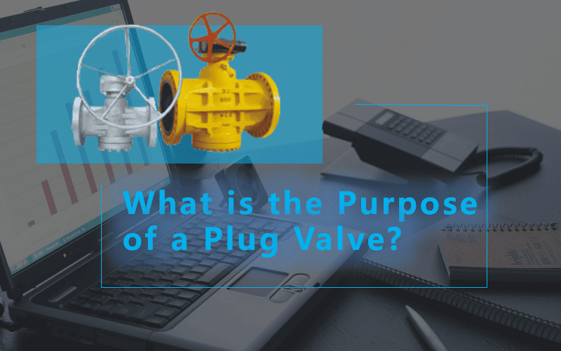 What is the Purpose of a Plug Valve?