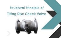 Structural Principles of Tilting Disc Check Valves