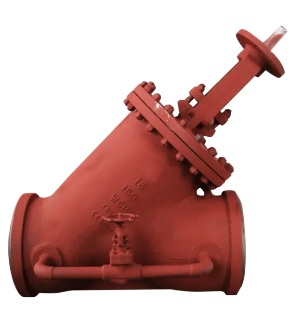 Y-type Globe Valve