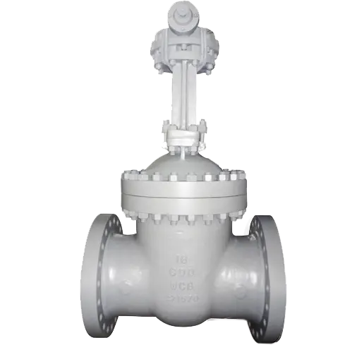 API600 Gate Valve