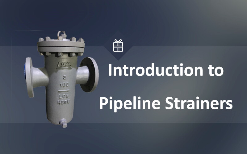 Introduction to Pipeline Strainers