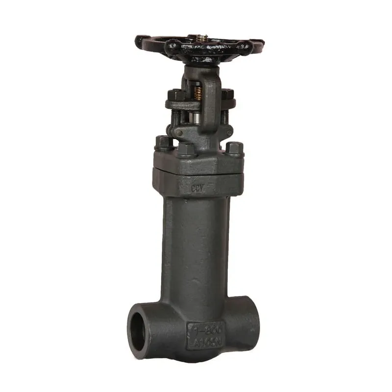 Bellows Gate Valve