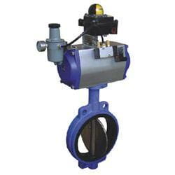 Structure and Performance of Soft Seals in Butterfly Valves