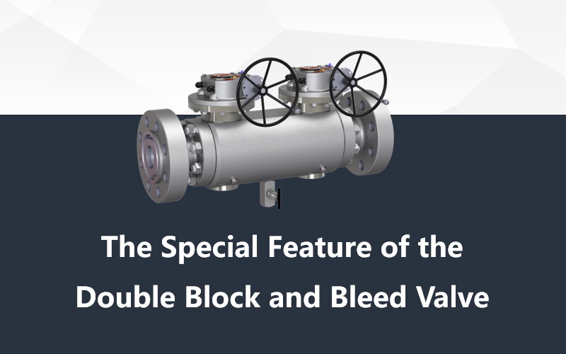 The Distinctive Attributes of Double Block and Bleed Valves