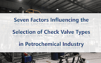 Seven Factors Influencing Choosing Check Valves in Petrochemical Industry