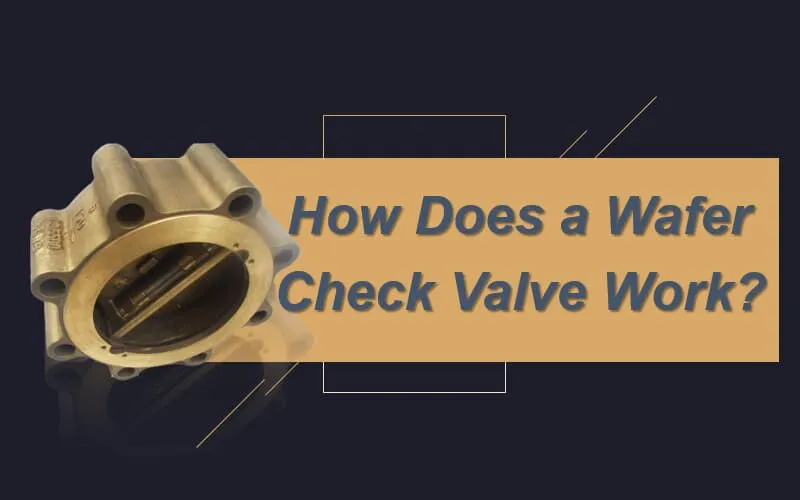 How Does a Wafer Check Valve Work?