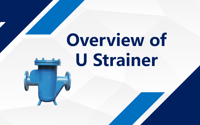 Overview of U Strainer