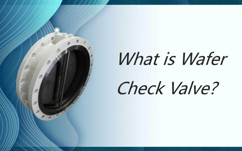 What is Wafer Check Valve?