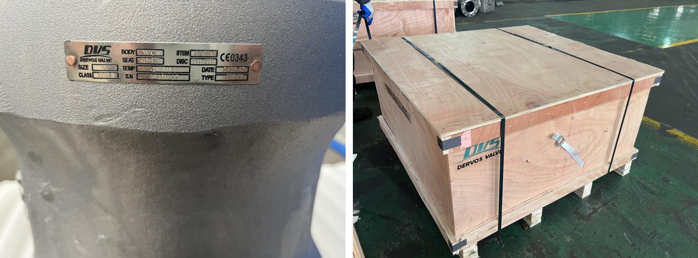 6" 600LB Swing Check Valve WC6 BW SCH 80