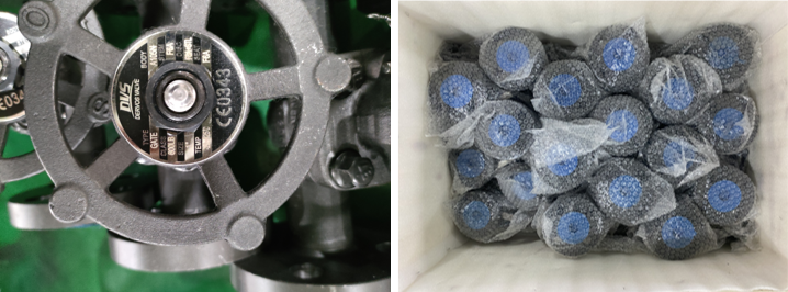 Forged Steel Gate Valve