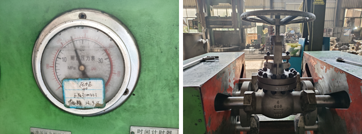 Cast Steel Globe Valve
