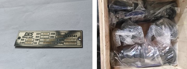 DN25 PN160 Y TYPE STRAINER A105N EN1092-1 B