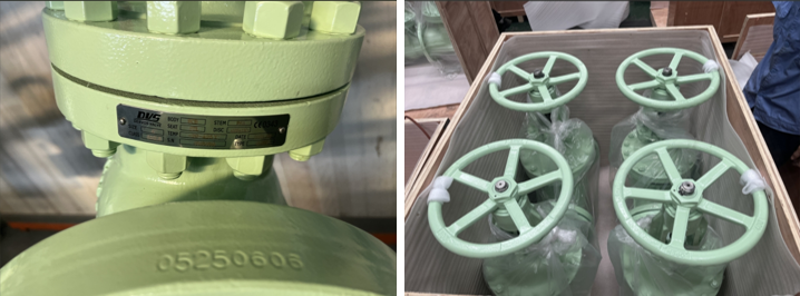 Cast Steel Globe Valve