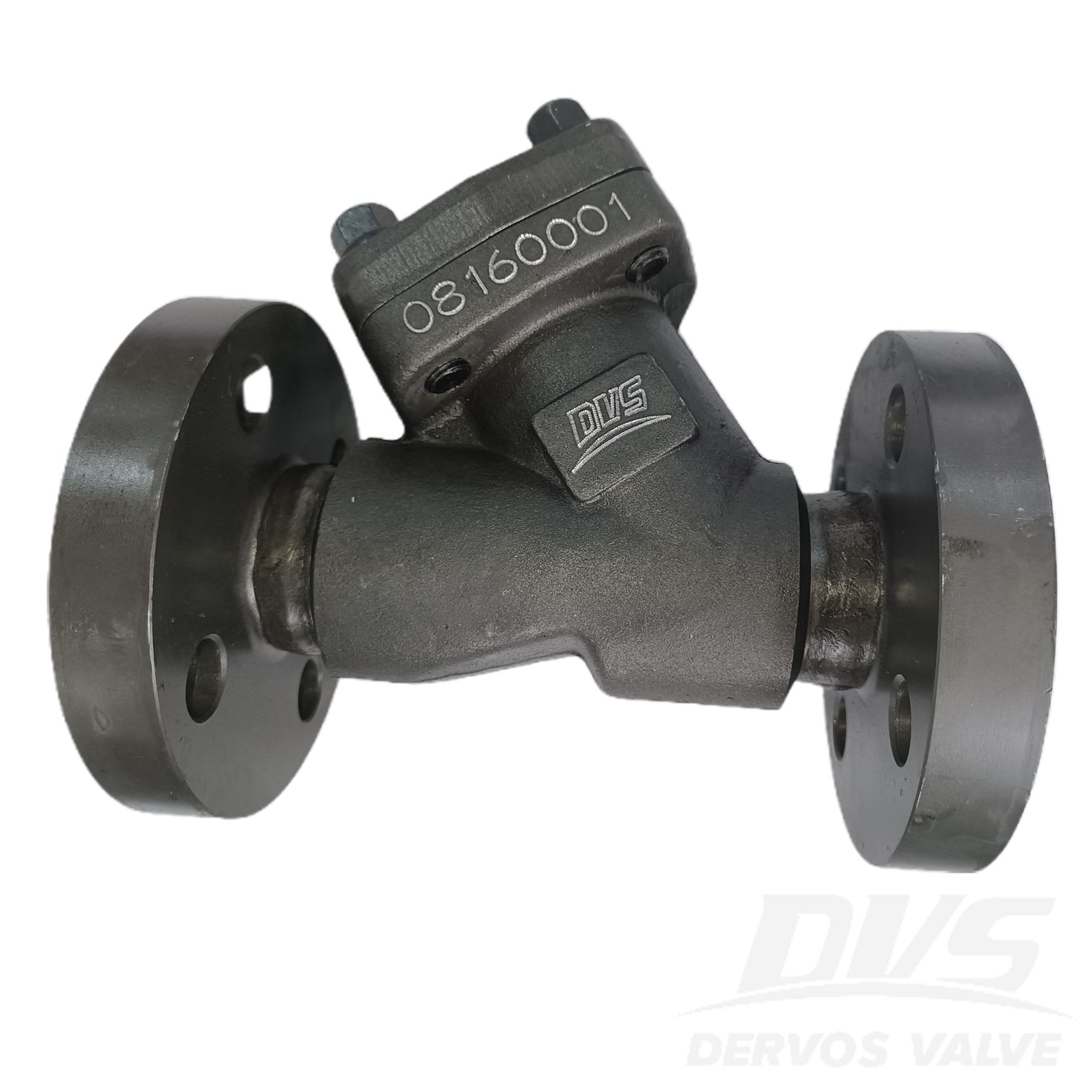 DN25 PN160 Y TYPE STRAINER A105N EN1092-1 B