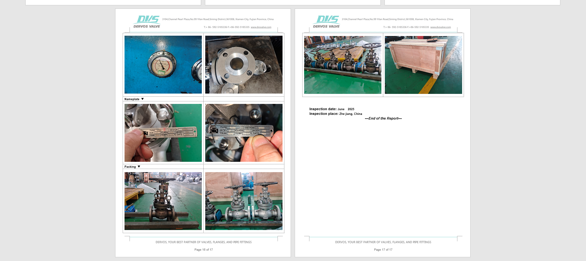 Cast Steel Gate Valve