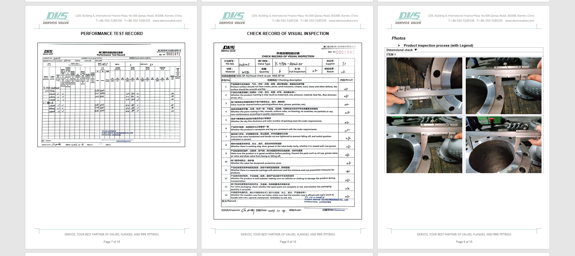 Cast Steel Y Strainer 