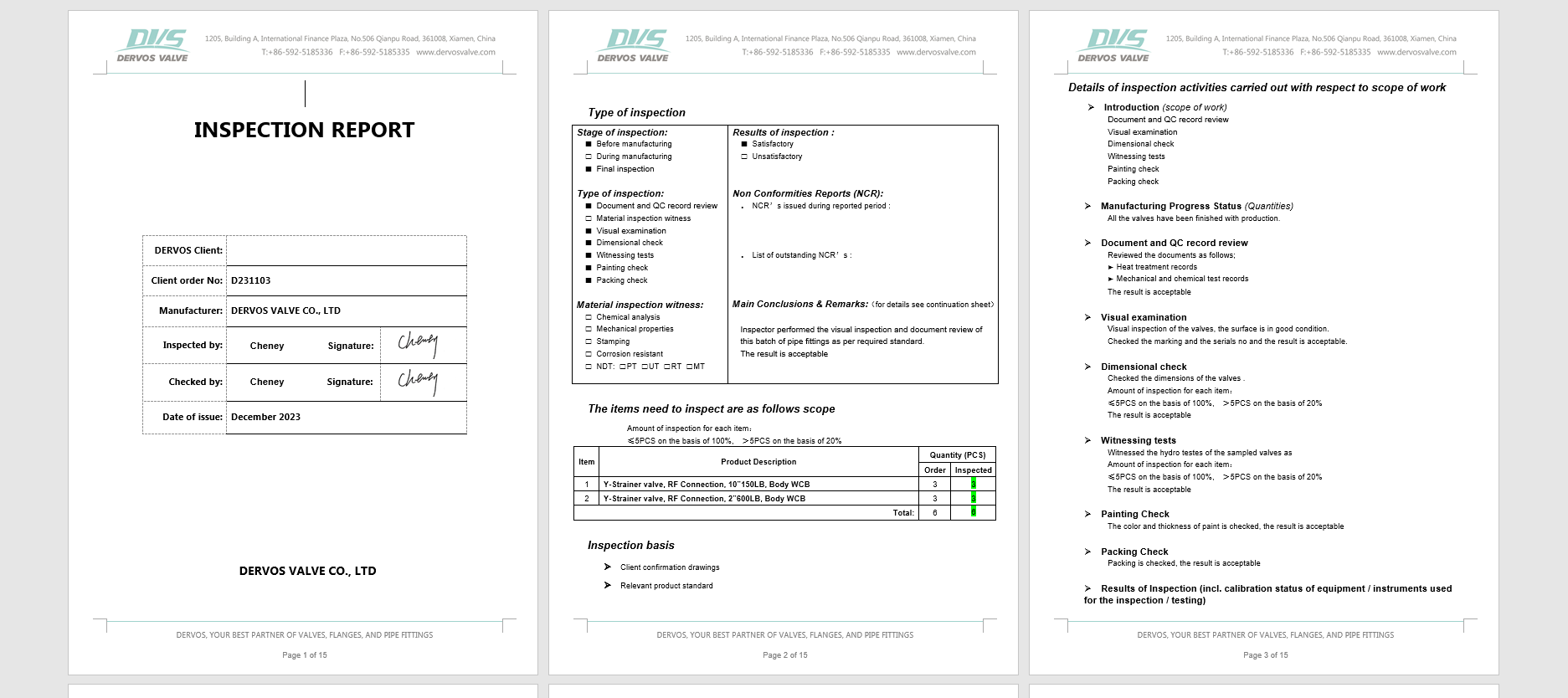 Cast Steel Y Strainer 