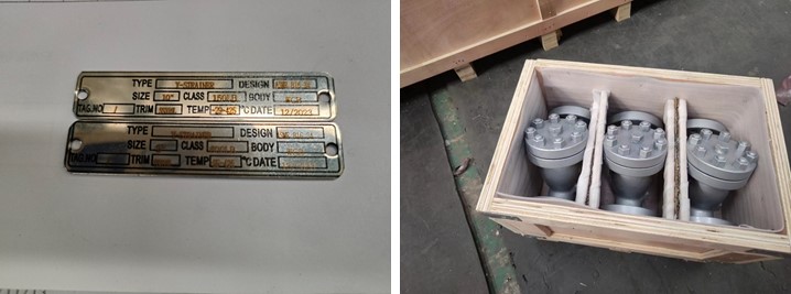 Cast Steel Y Strainer 