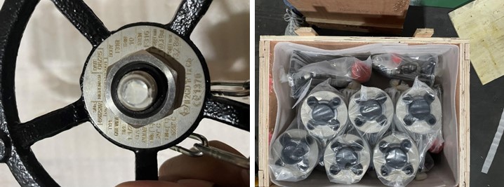 Forged Steel Gate Valve