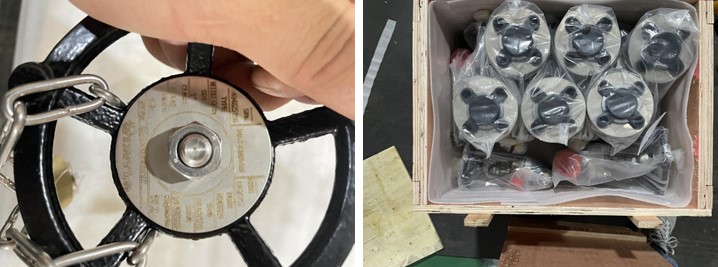 Forged Steel Globe Valve