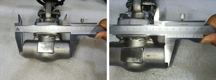 Forged Steel Globe Valve