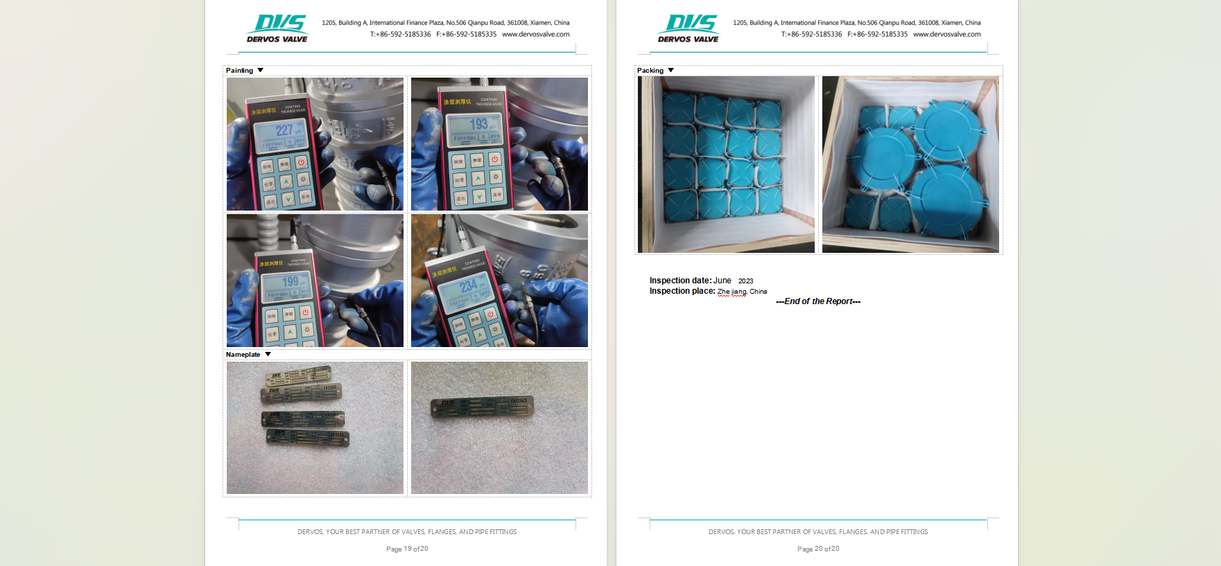 Dual Plate Wafer Type Check Valve 