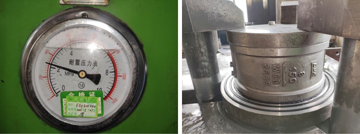 Dual Plate Wafer Type Check Valve 