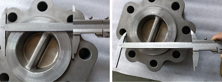 Dual Plate Wafer Check Valve