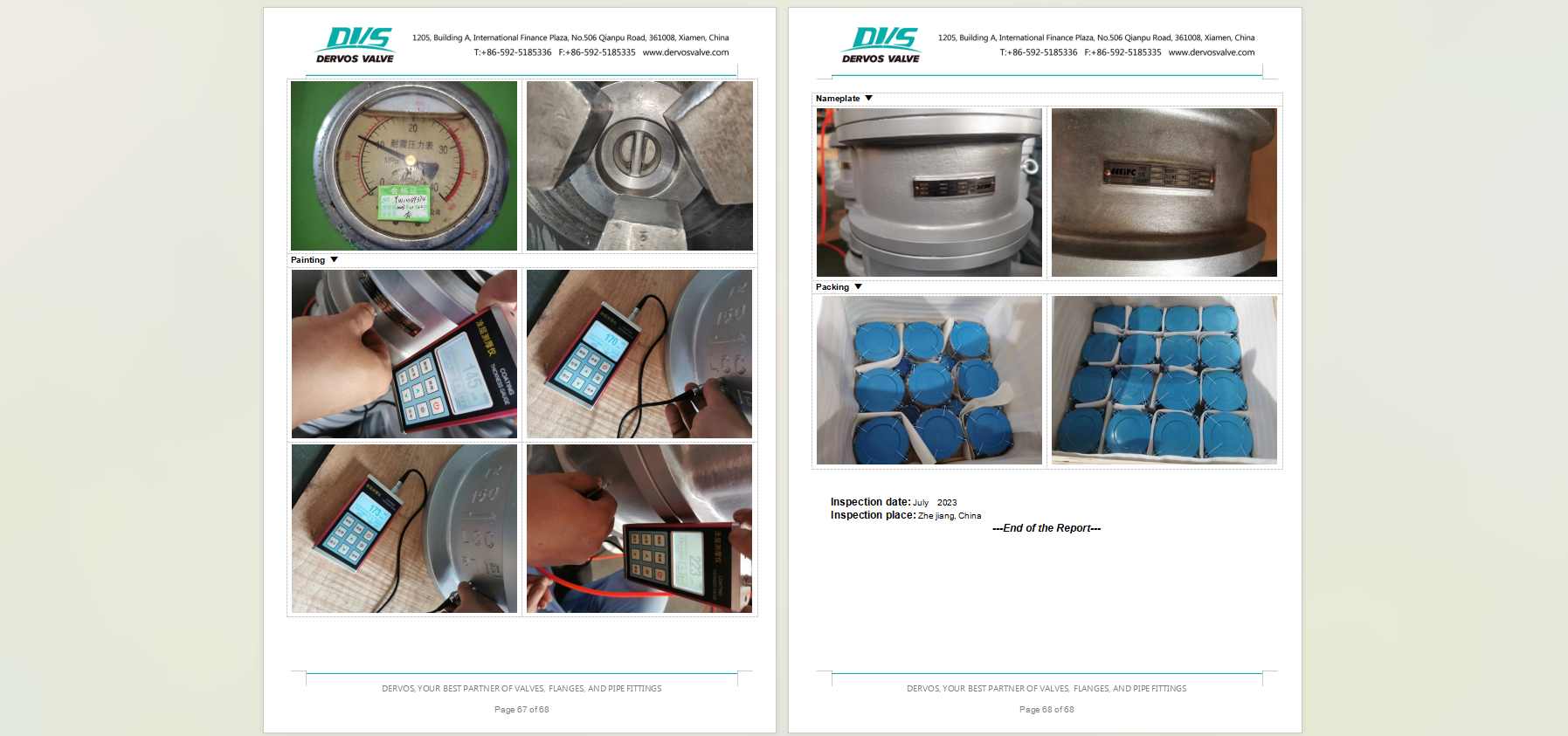 Dual Plate Wafer Check Valve