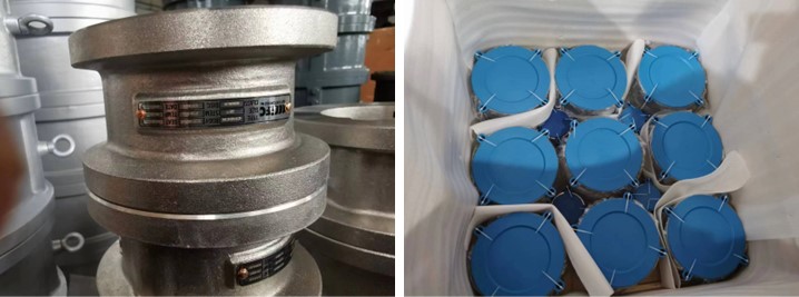 Dual Plate Wafer Check Valve