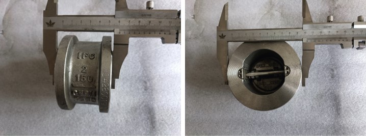Dual Plate Wafer Check Valve