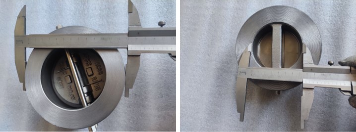 Dual Plate Wafer Check Valve