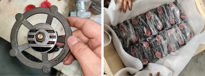 Forged Steel Globe Valve