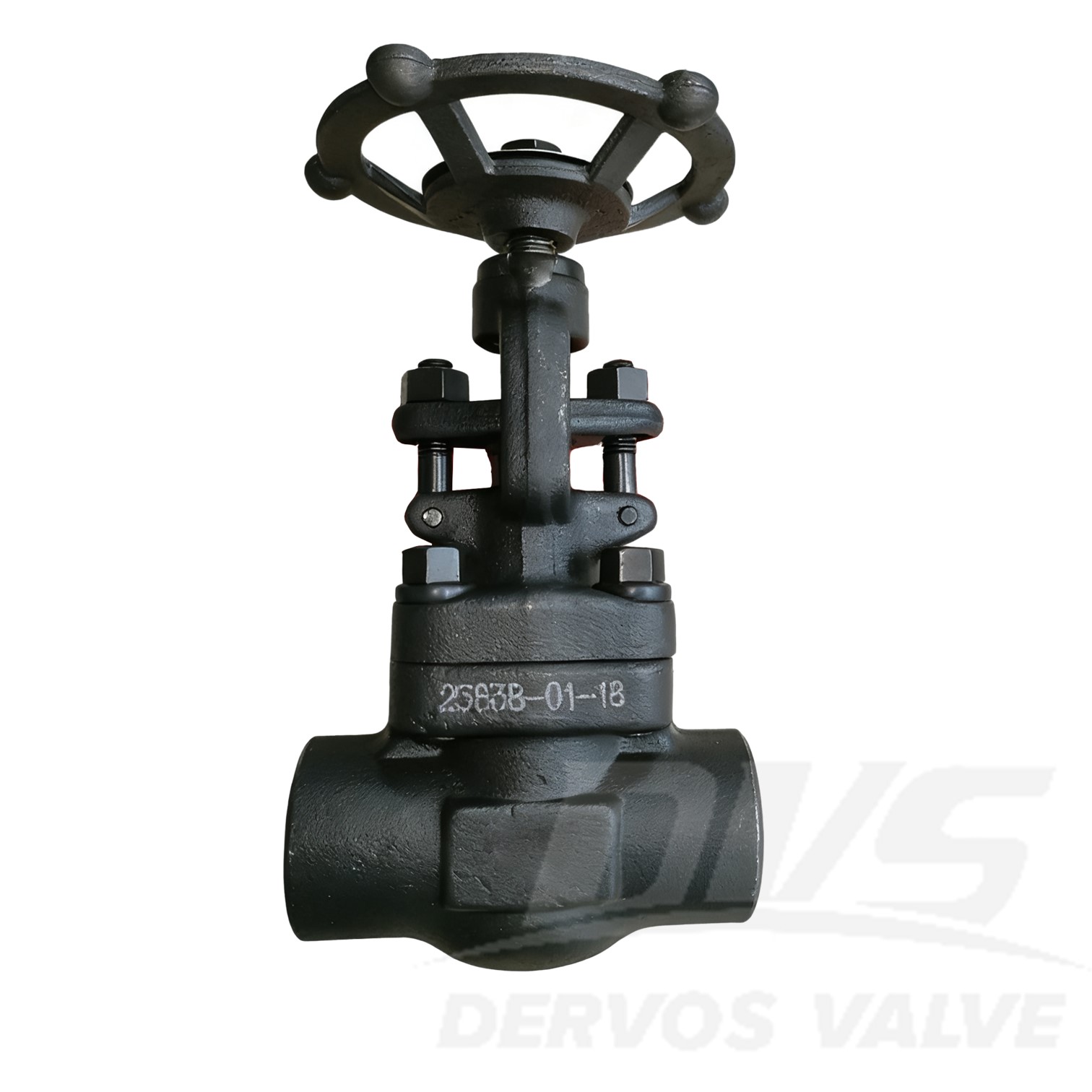 1” 800LB Forged Steel Globe Valve SW A105 API602