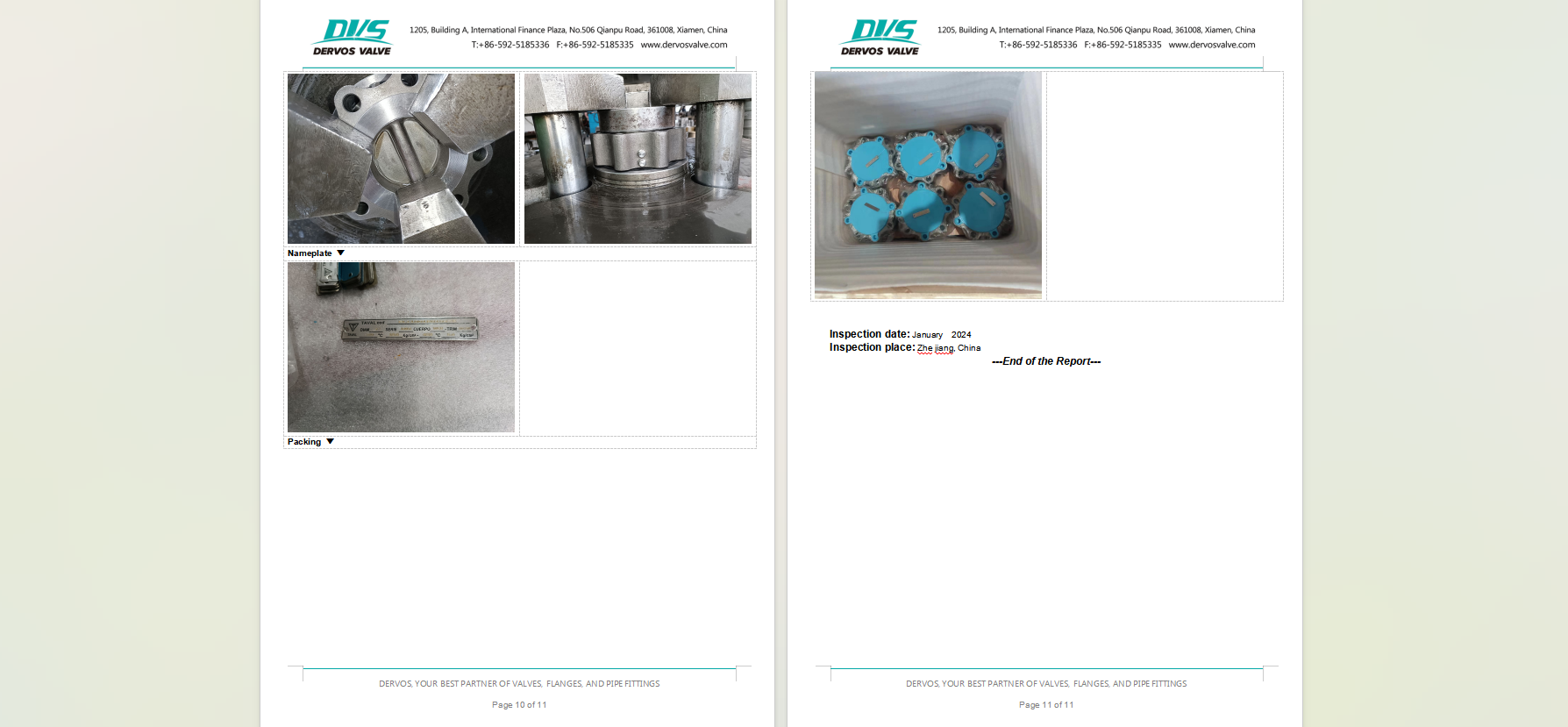 Dual Plate Check Valve