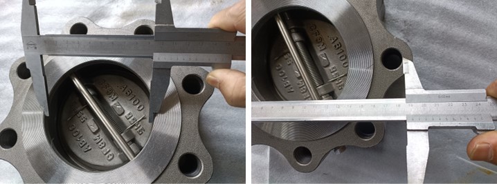 Dual Plate Check Valve