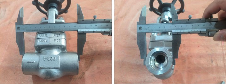 Forged Steel Globe Valve