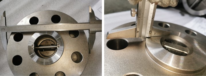 Wafer Type Check Valve