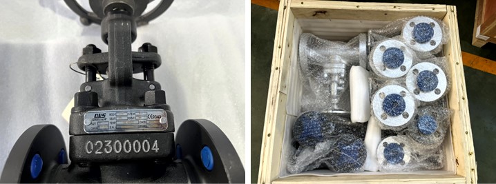 Forged Steel Flange Globe Valve