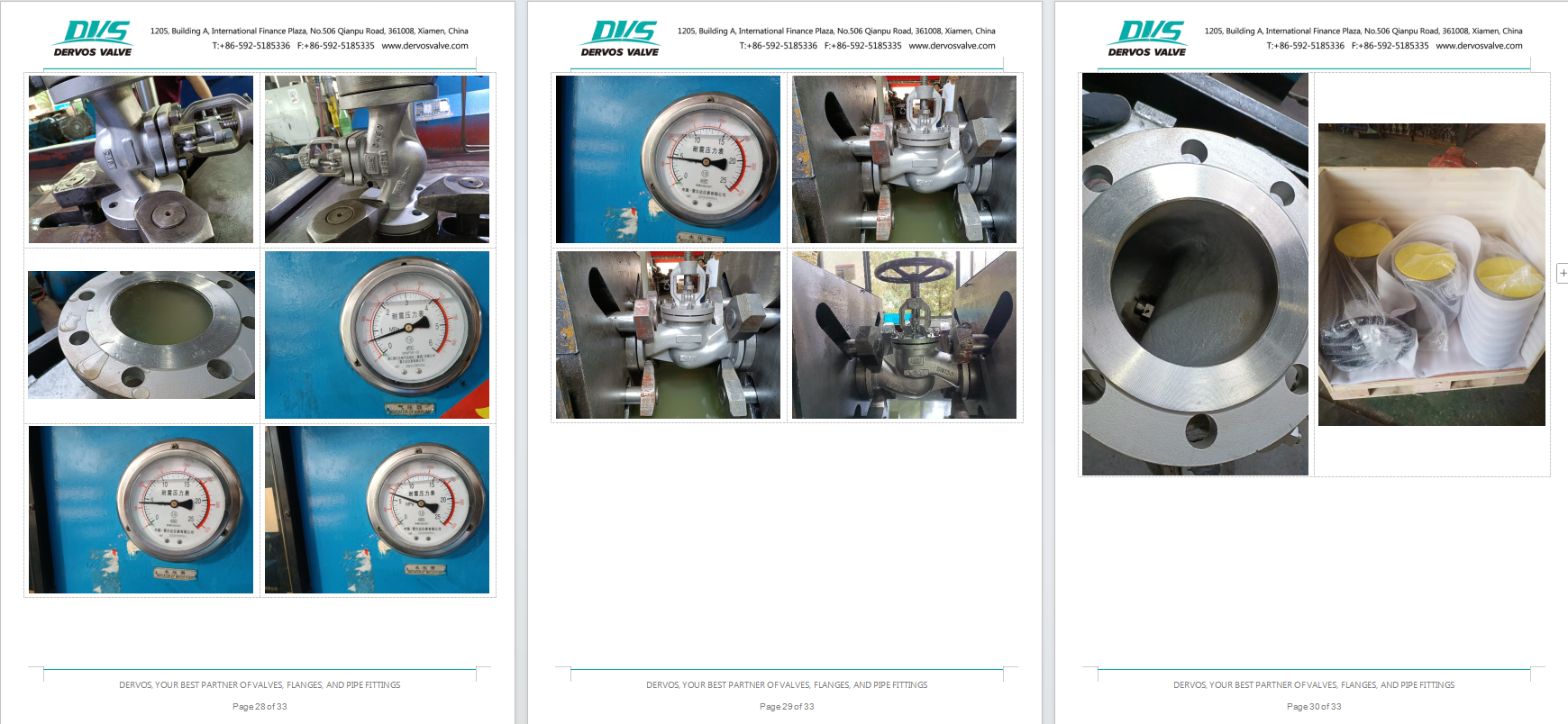 Austenitic Stainless Steel Globe Valve