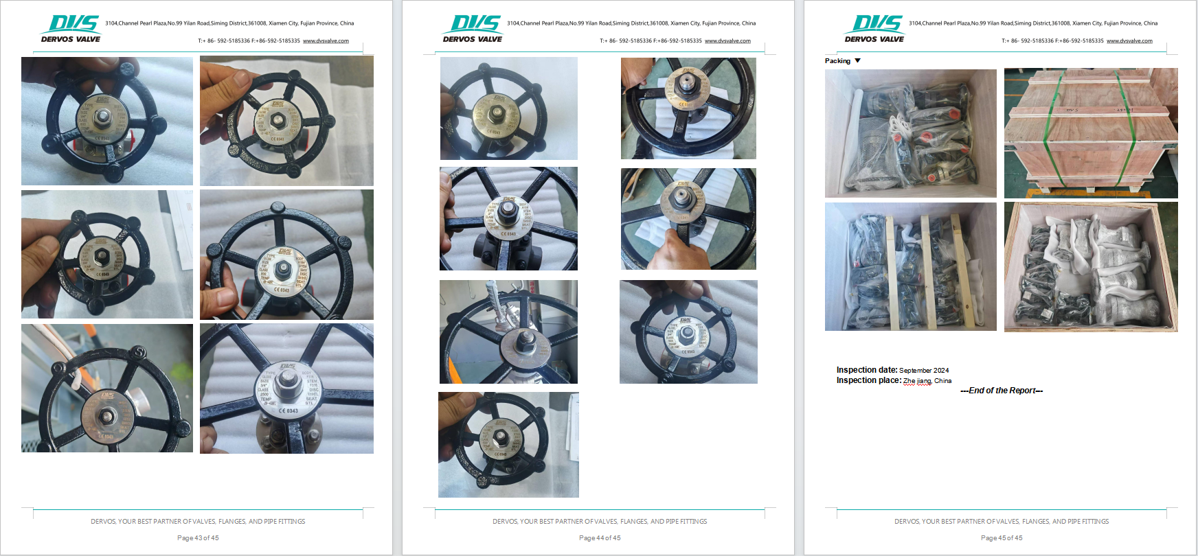 Forged Steel Globe Valve