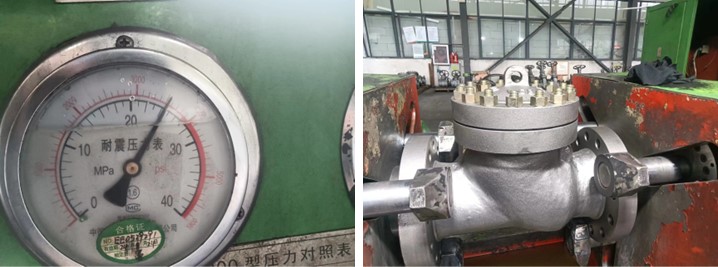 Cast Steel Swing Check Valve 